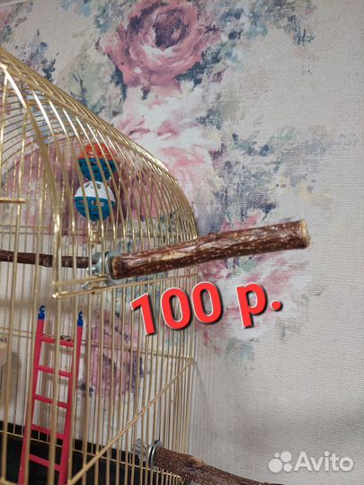 Жердочка для попугая, Стенд для попугая