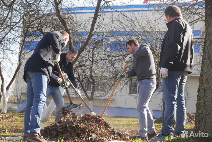 Бригада разнорабочих. Демонтаж. Выезд сразу