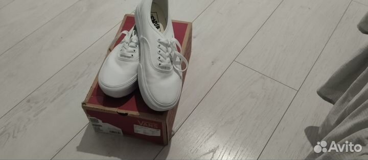 Vans authentic