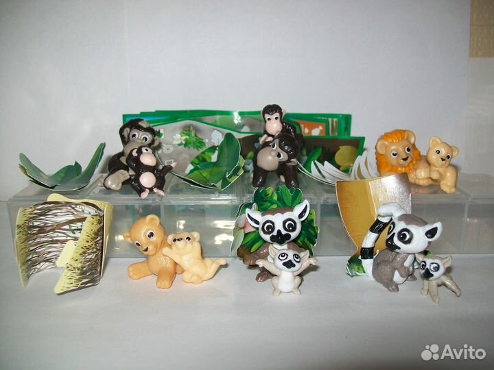 Семейки в джунглях