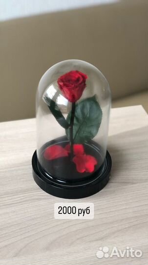 Роза в колбе