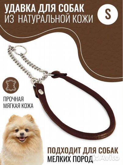 Ошейник кожаный для собак мелких пород / Обхват ше