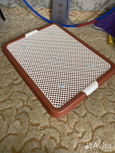 Лоток для собак