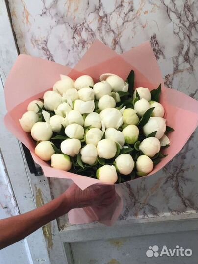 Пионы белые опт коробка доставка цветы