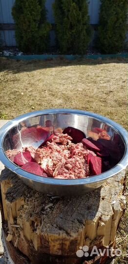 Лучший говяжий фарш для собак натуралка мясо