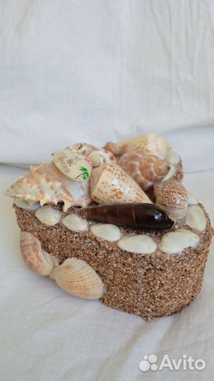 Шкатулка ракушка