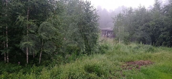 Участок 6,1 сот. (СНТ, ДНП)