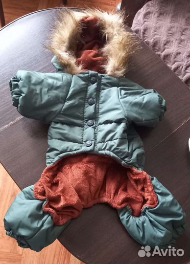 Одежда для собак