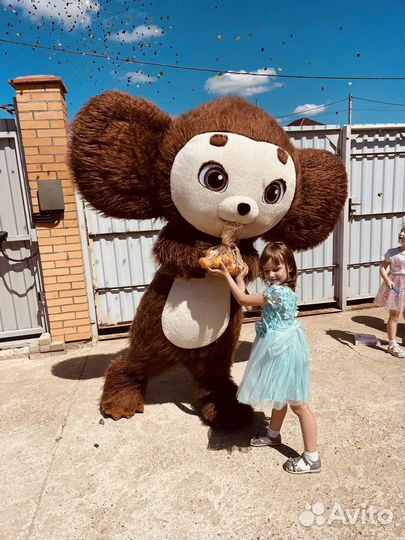 Чебурашка и крокодил Гена на поздравление аниматор