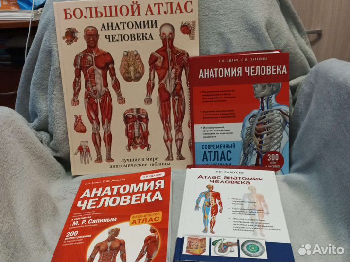 Большой атлас анатомии человека