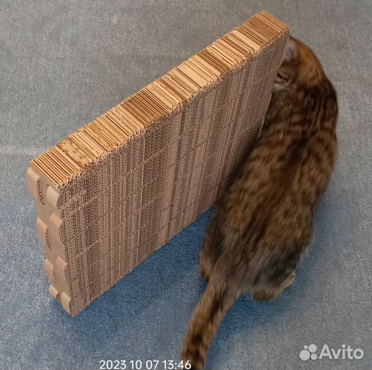 Когтеточка из картона