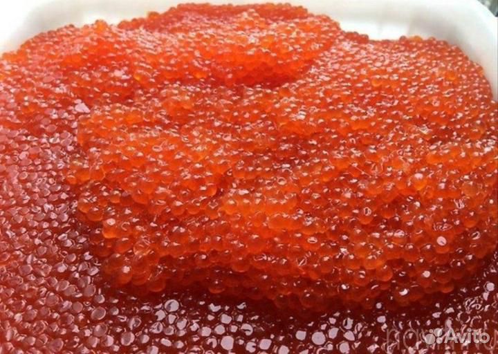 Красная икра