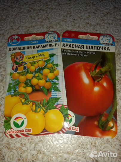 Рассада помидор черри