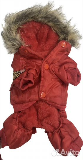 Одежда для собак