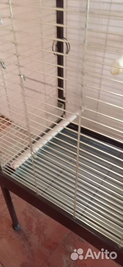 Клетка-вольер для крупных попугаев interzoo