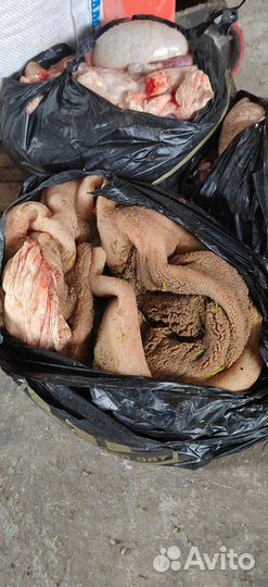 Корма для животных