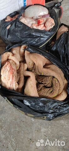 Корма для животных