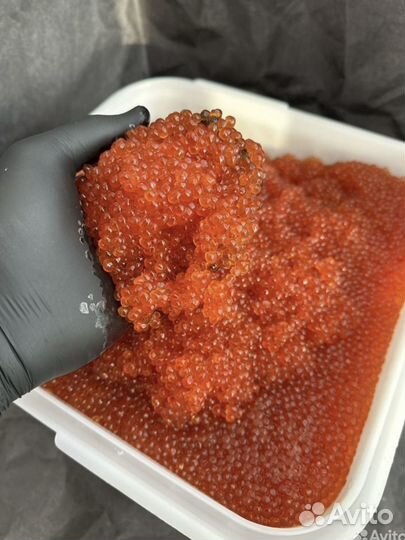 Икра красная кеты 2024