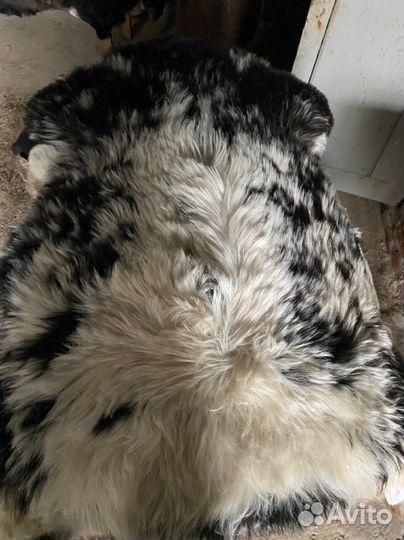 Овечья шкура натуральная