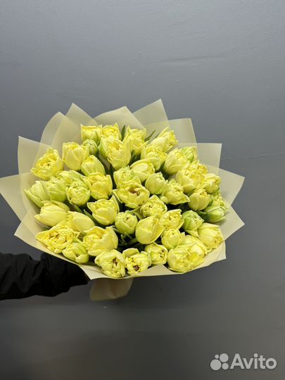 Тюльпаны розы