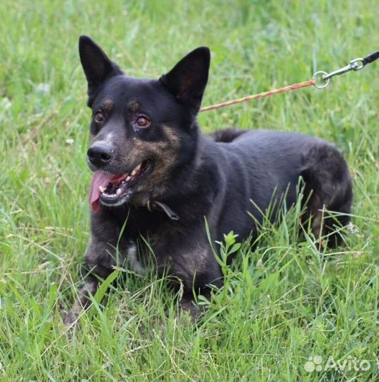 Последняя просьба дедушки