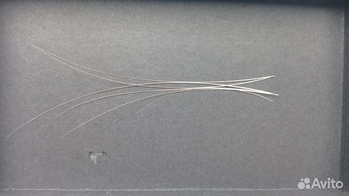 Усы кота и шиншиллы