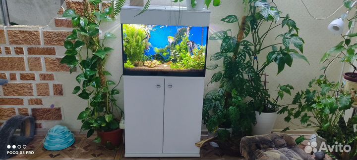 Аквариум с тумбой 80л