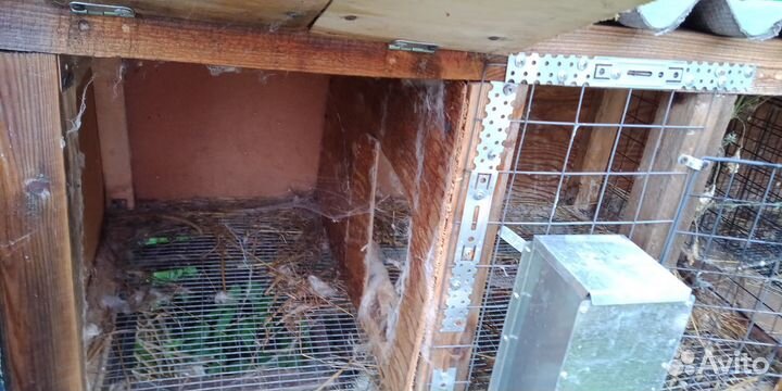 Клетка для кроликов
