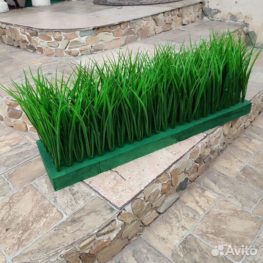 Зелень, трава Осока на основе и в ящике/кашпо Т