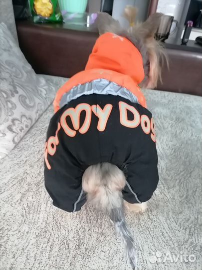 Зимний костюм для собак