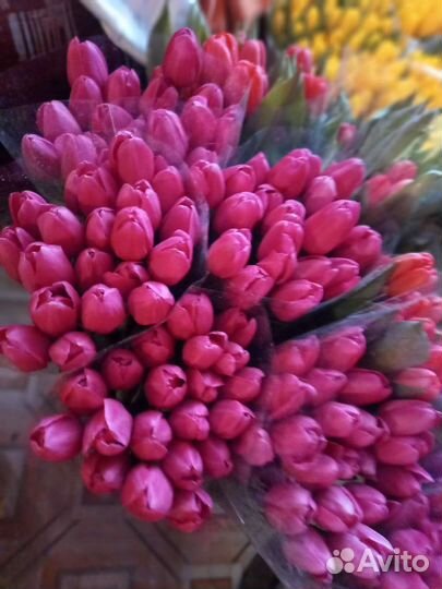 Цветы тюльпаны и букеты с доставкой