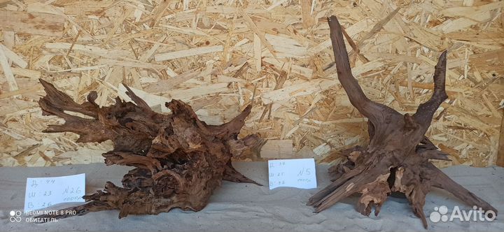 Красивые Коряжки