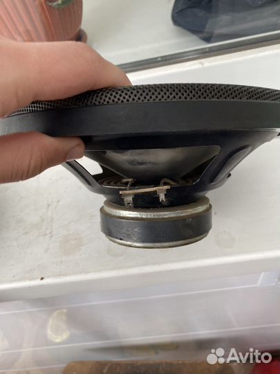 Динамики magnat