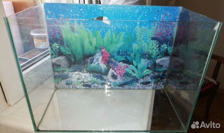 Аквариум