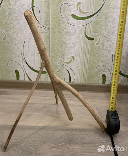 Коряги в аквариум/террариум, ракушечник