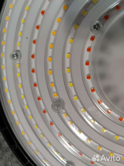 Фитолампа 200W quantum board