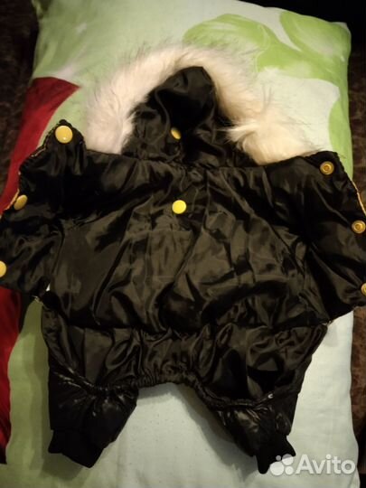 Одежда на маленькую собаку