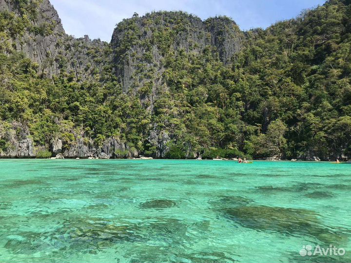 Художницы на море на сезон