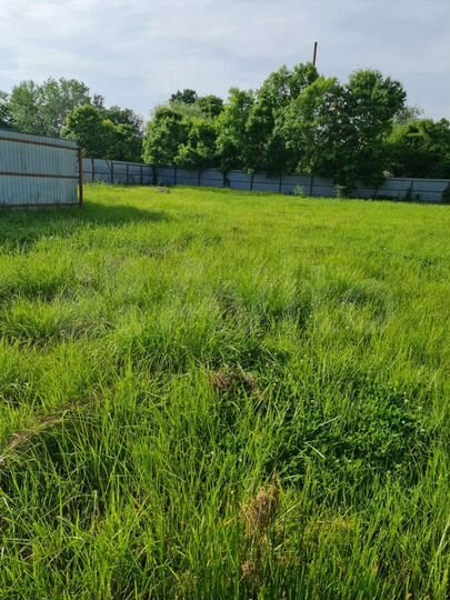 Участок 12 сот. (ИЖС)