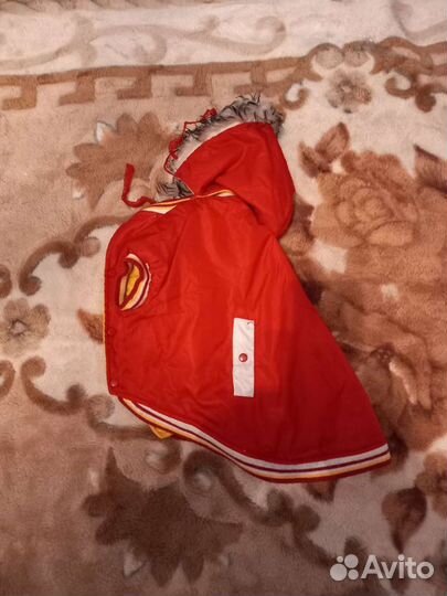 Кеды и одежда для собаки