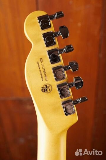 Fender American Professional