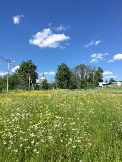 Участок 10 сот. (ИЖС)