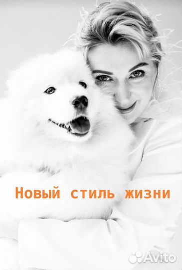 Кинолог / обучение собак и щенков