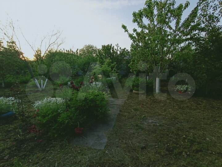 Дом 25 м² на участке 6 сот.