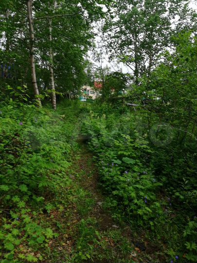 Участок 10 сот. (СНТ, ДНП)