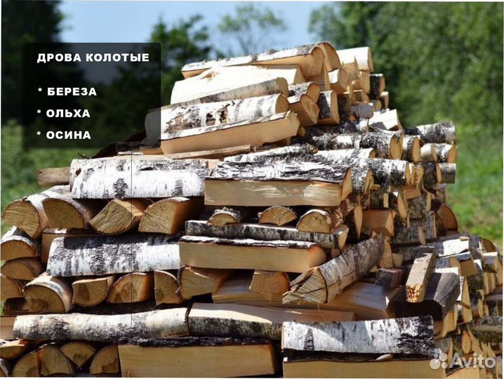 Дрова березовые