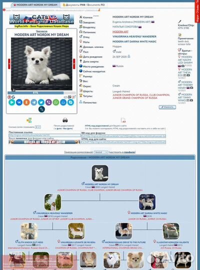 Чихуахуа Шикарный кобель