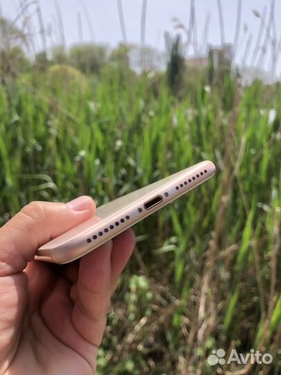 iPhone 8 Plus, 64 ГБ