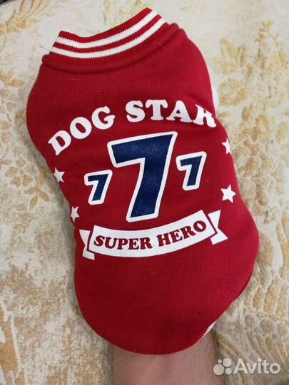 Одежда для маленьких собак