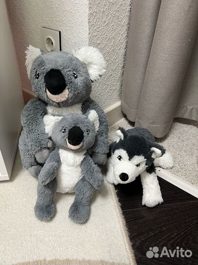 Мягкие игрушки из IKEA коала, хаски щенок